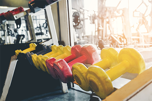 Rows of dumbbells in the gym